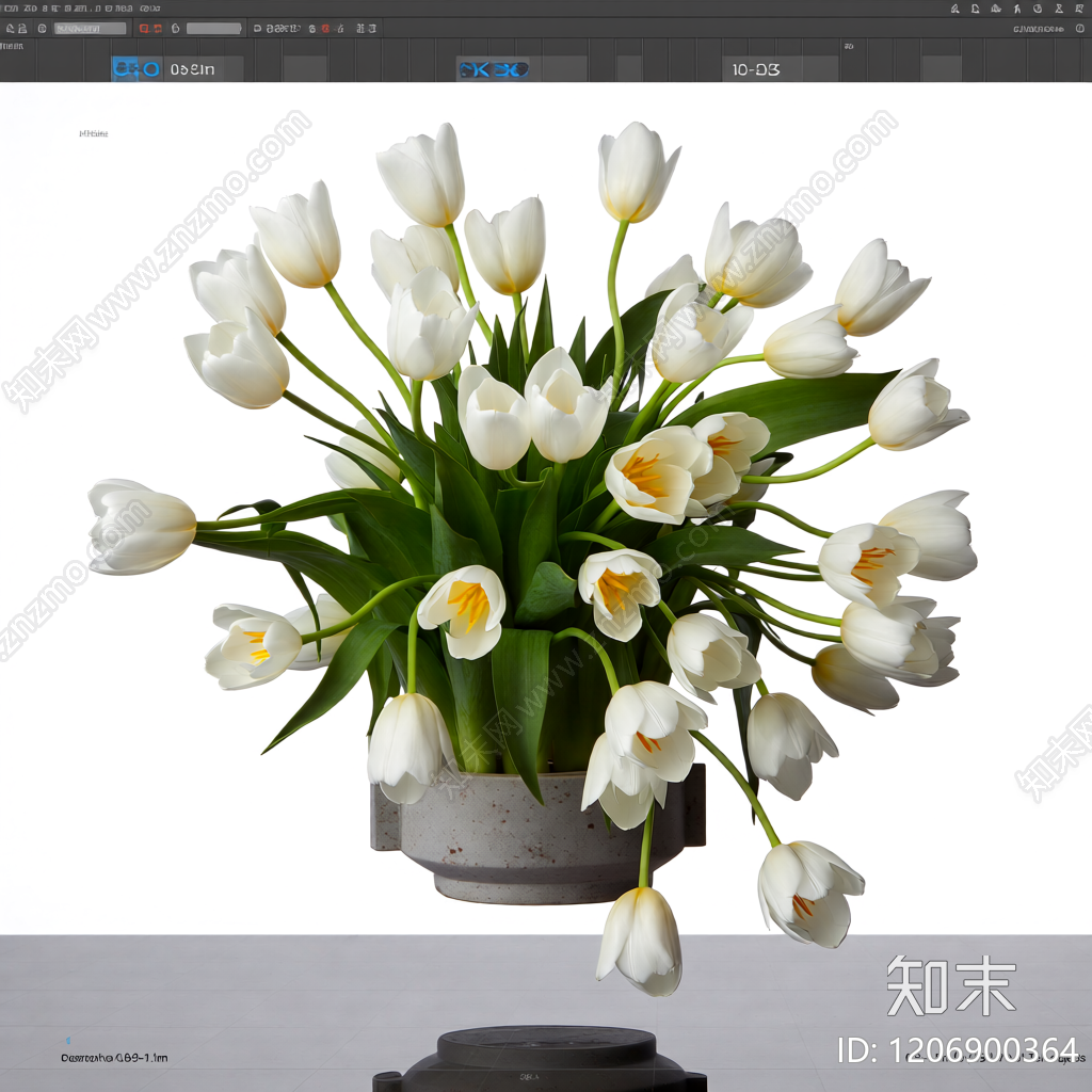 白色郁金香花束盆栽3D模型下载【ID:1206900364】