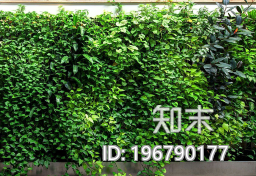 植被墙下载【ID:196790177】