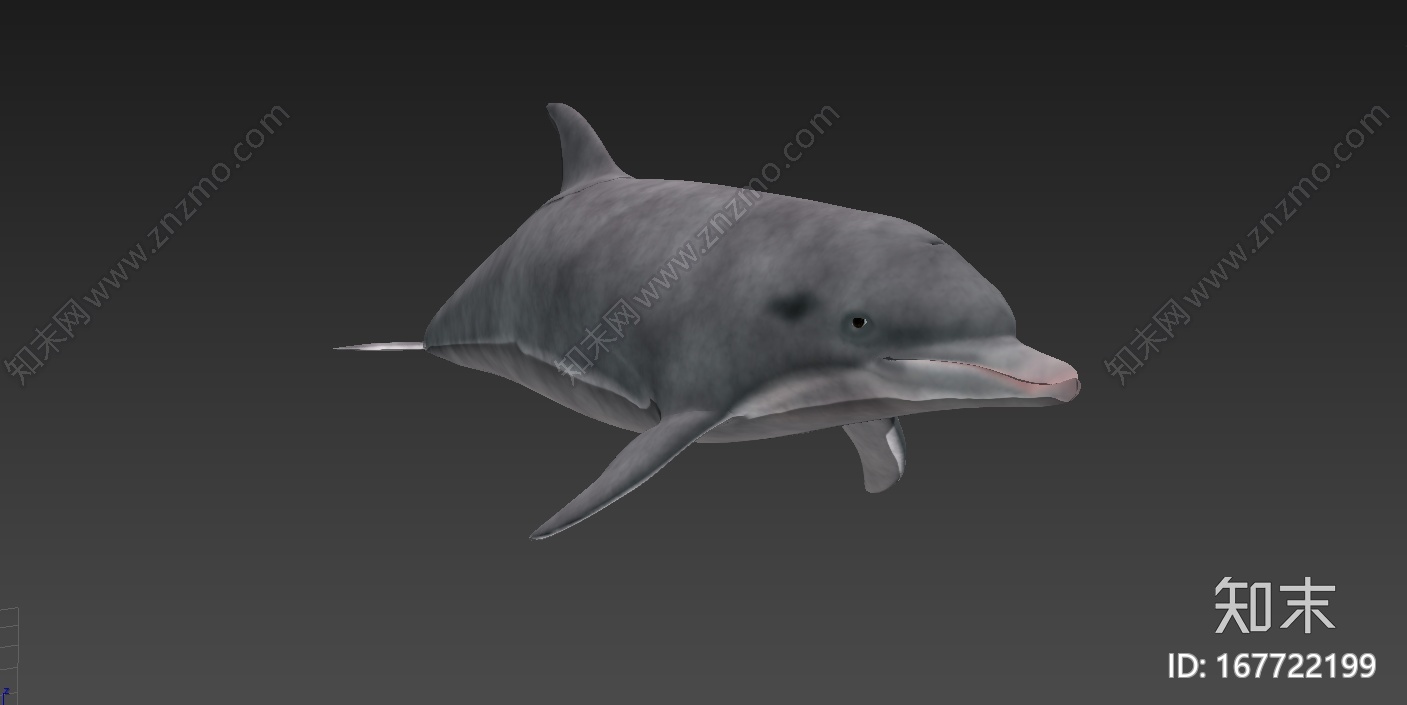 精细海豚3d模型（带动作）CG模型下载【ID:167722199】