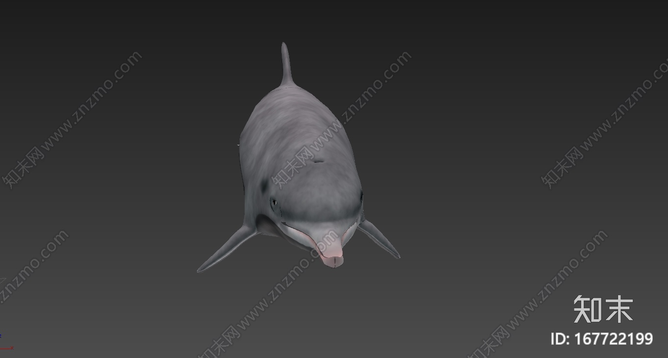 精细海豚3d模型（带动作）CG模型下载【ID:167722199】