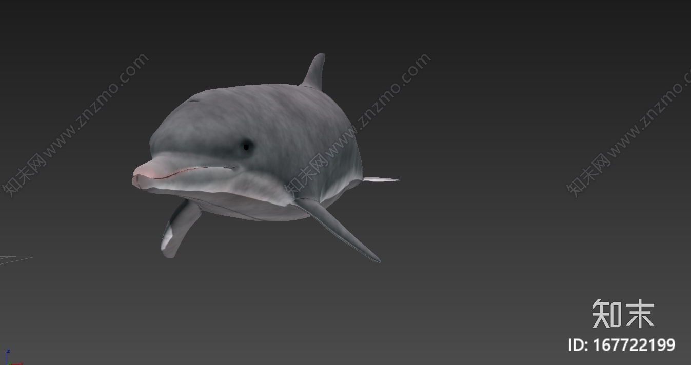 精细海豚3d模型（带动作）CG模型下载【ID:167722199】