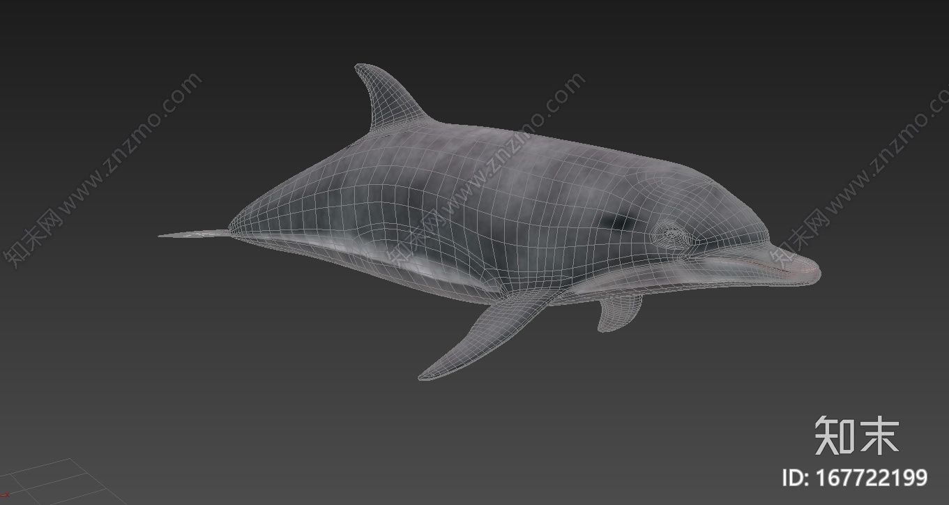 精细海豚3d模型（带动作）CG模型下载【ID:167722199】