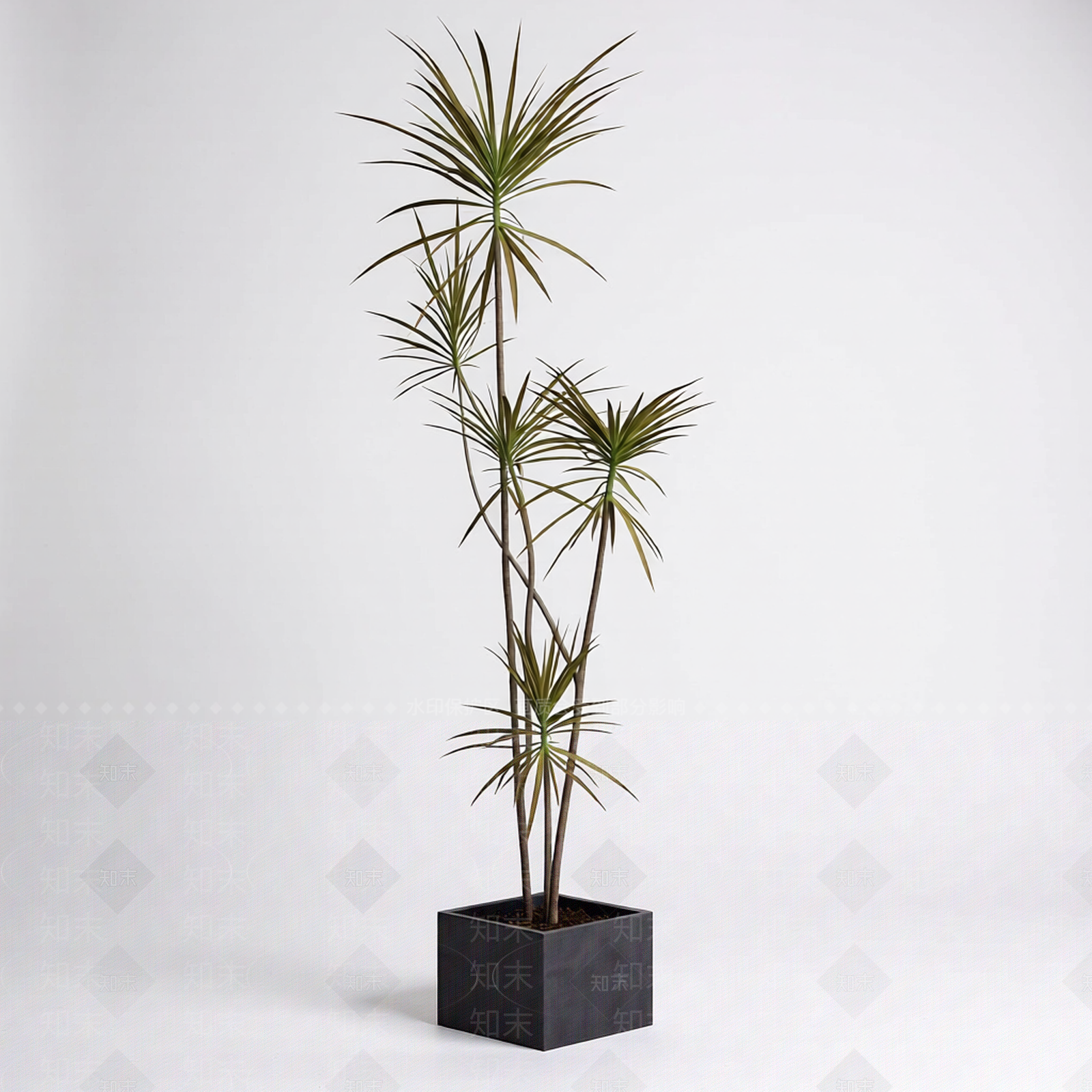 带盆多肉植物模型3D模型下载【ID:1206187023】