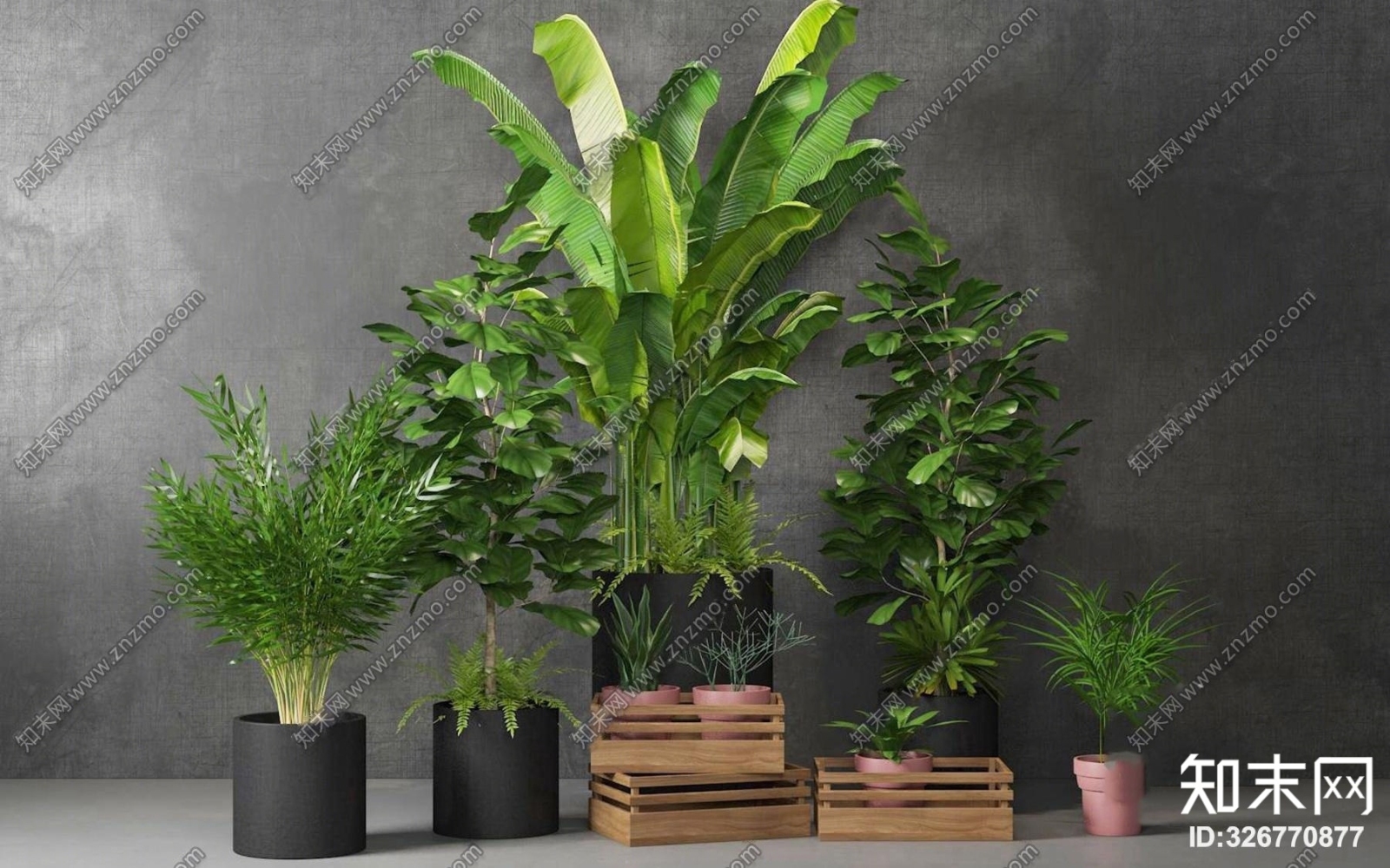 现代植物盆栽组合3D模型下载【ID:326770877】