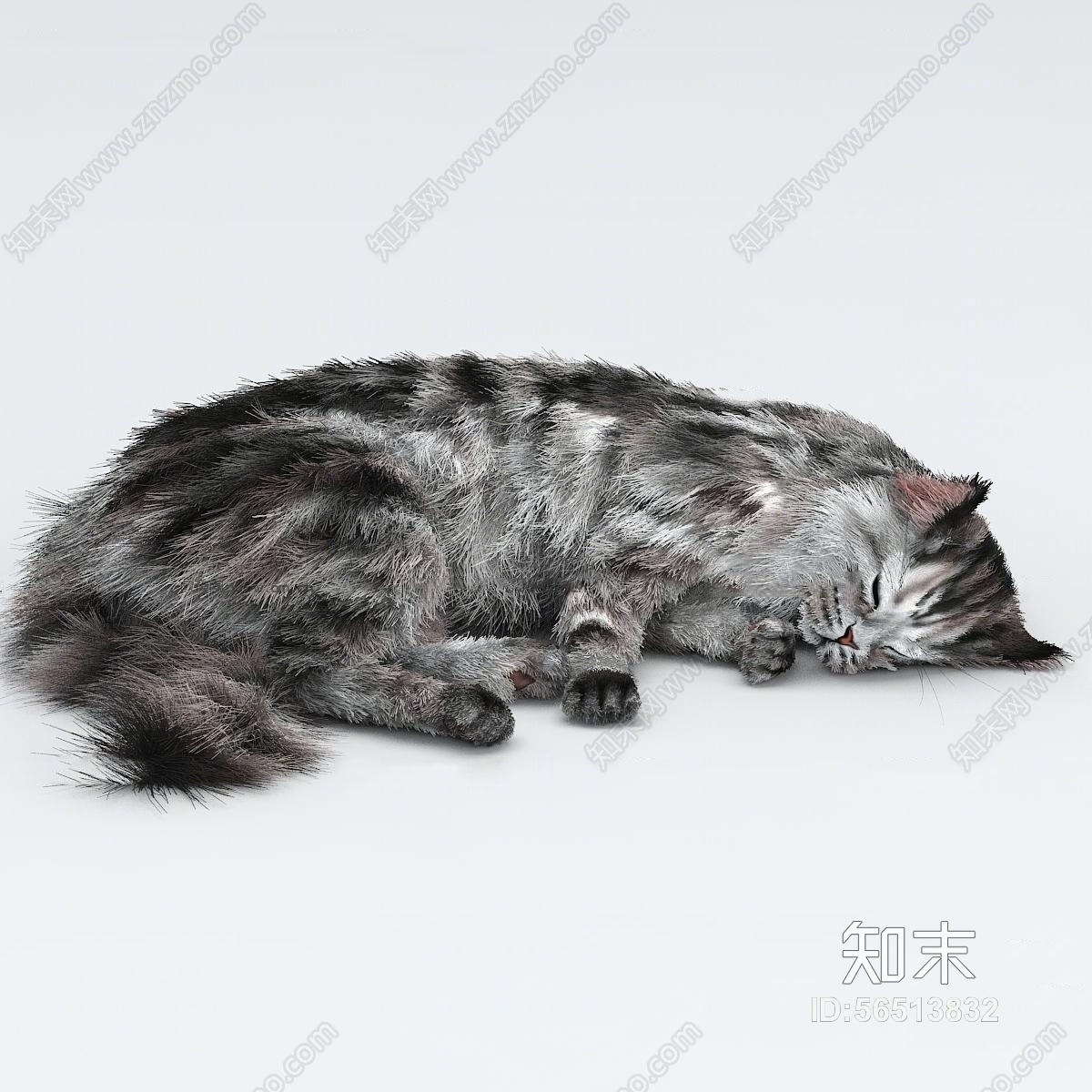 现代猫宠物动物3D模型下载【ID:56513832】