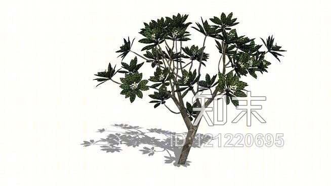 三维素馨树SU模型下载【ID:121220695】