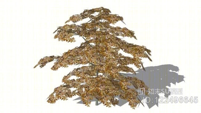 小山毛榉树SU模型下载【ID:122496645】