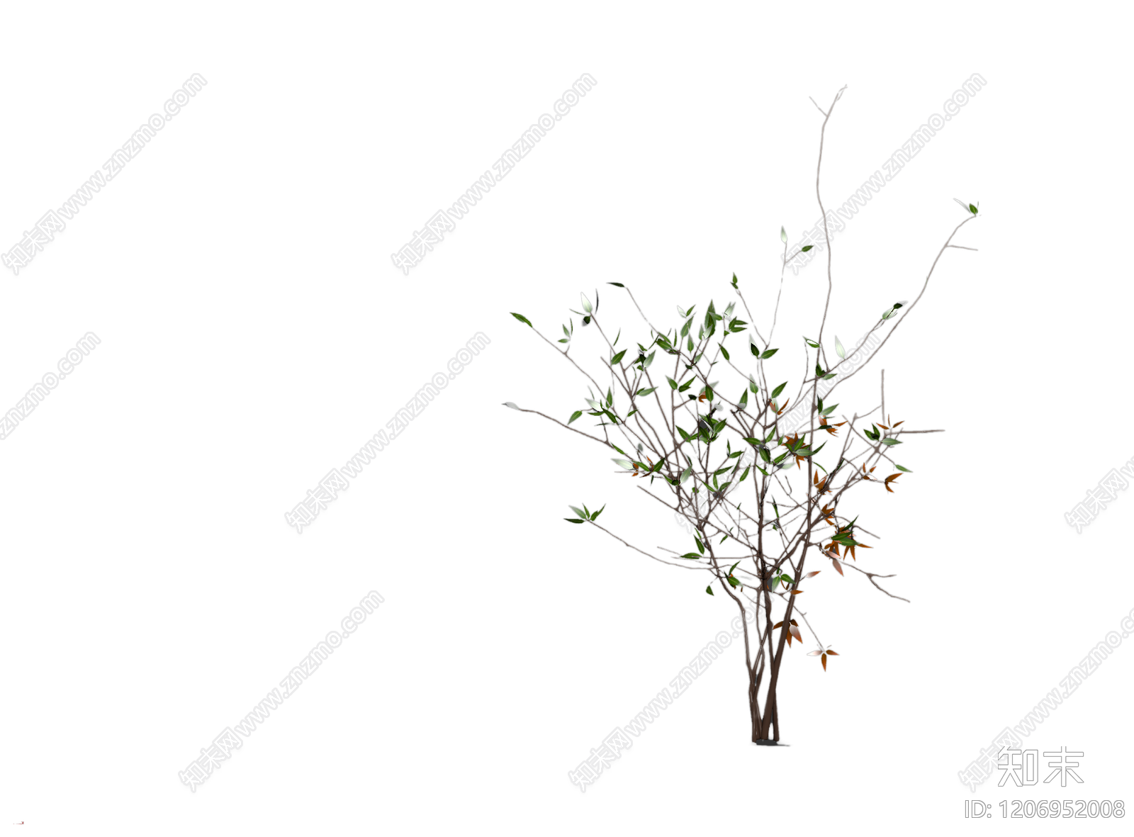 盆栽植物装饰3D模型下载【ID:1206952008】