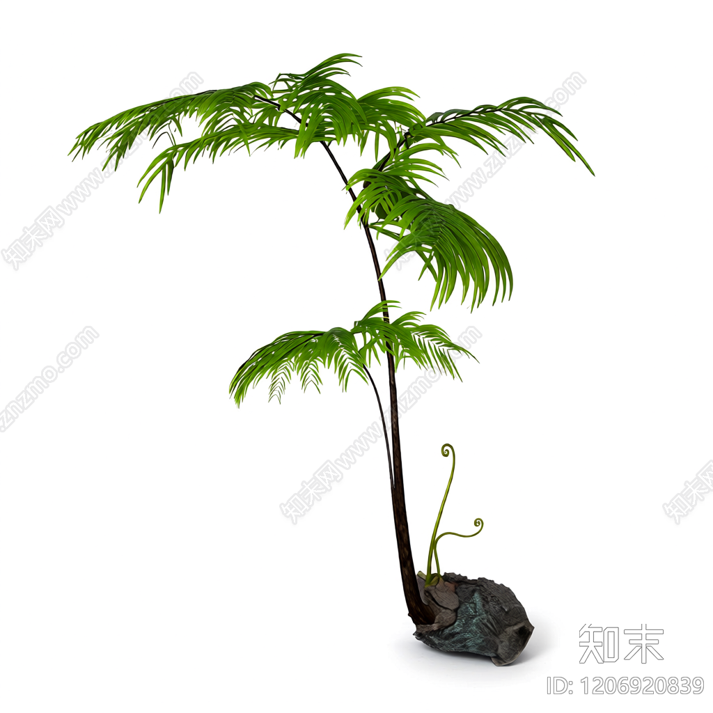 盆栽蕨类植物3D模型下载【ID:1206920839】