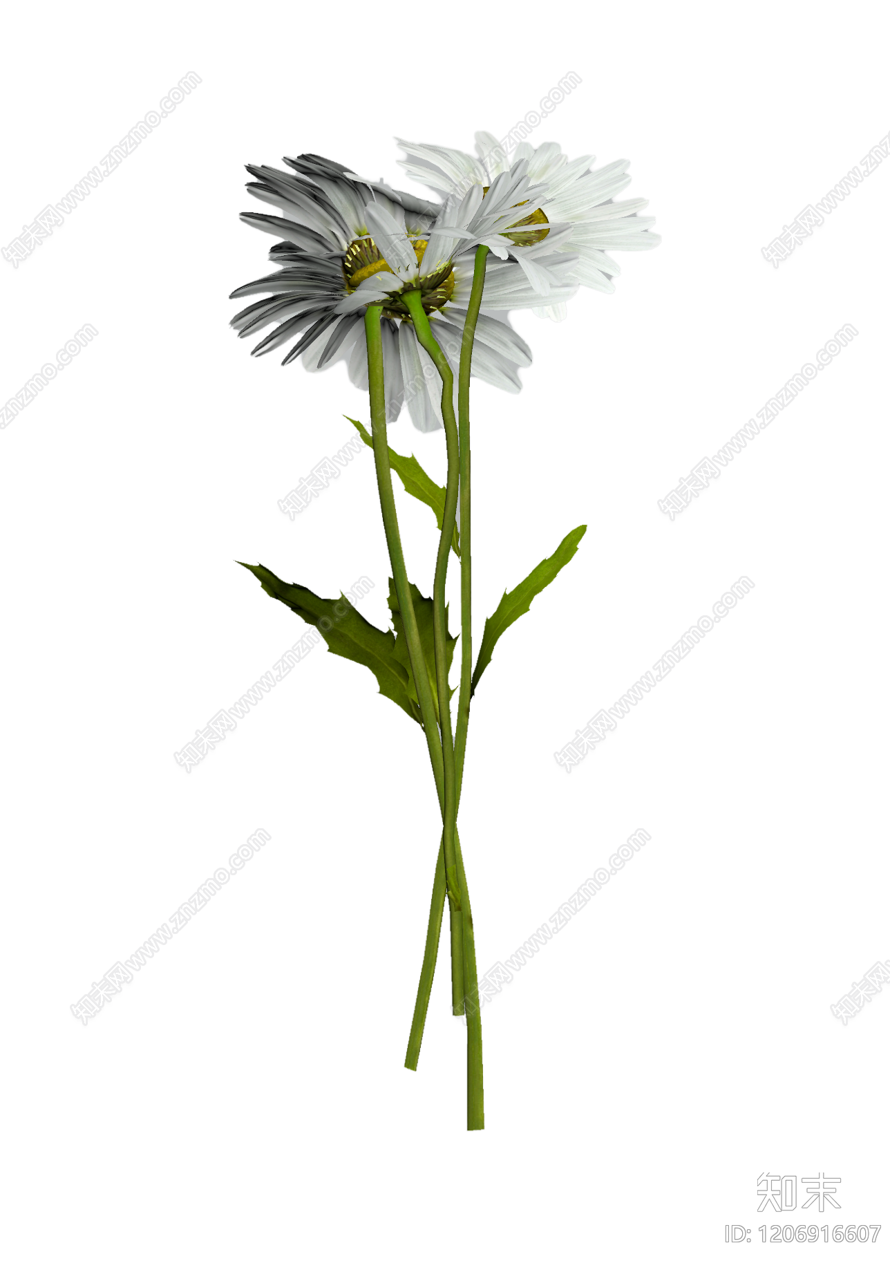 雏菊花束装饰3D模型下载【ID:1206916607】