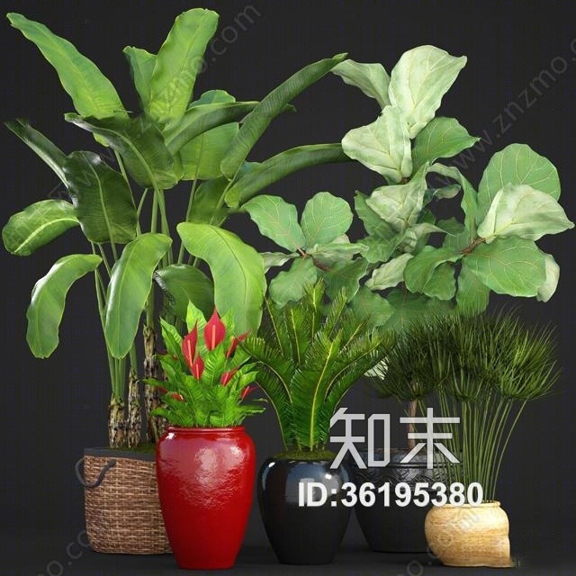 现代芭蕉绿植盆栽组合3D模型下载【ID:36195380】