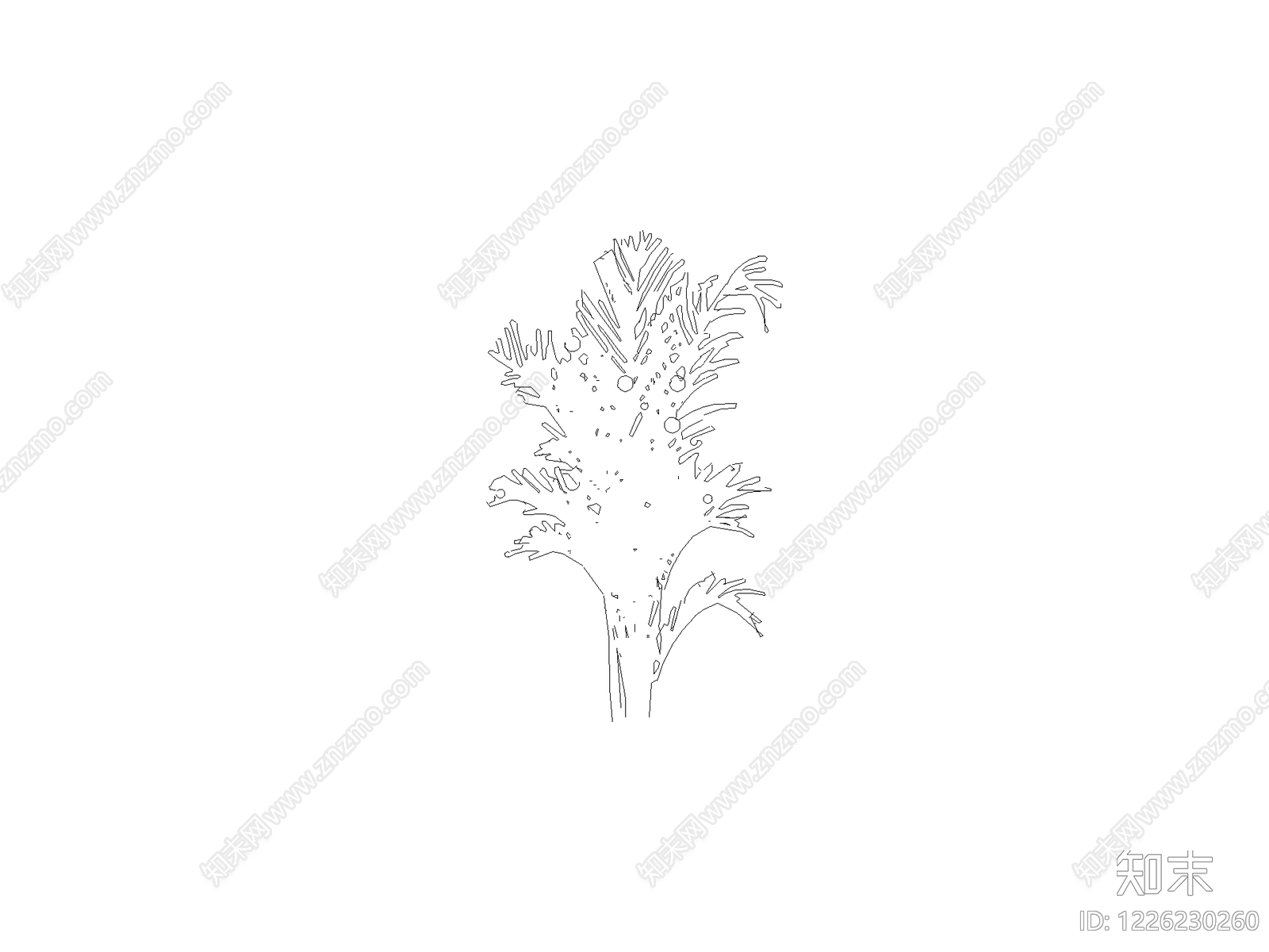 现代乔木种植CAD图纸