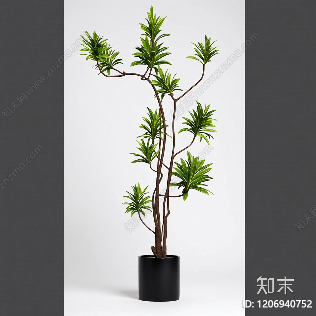 盆栽植物装饰3D模型下载【ID:1206940752】