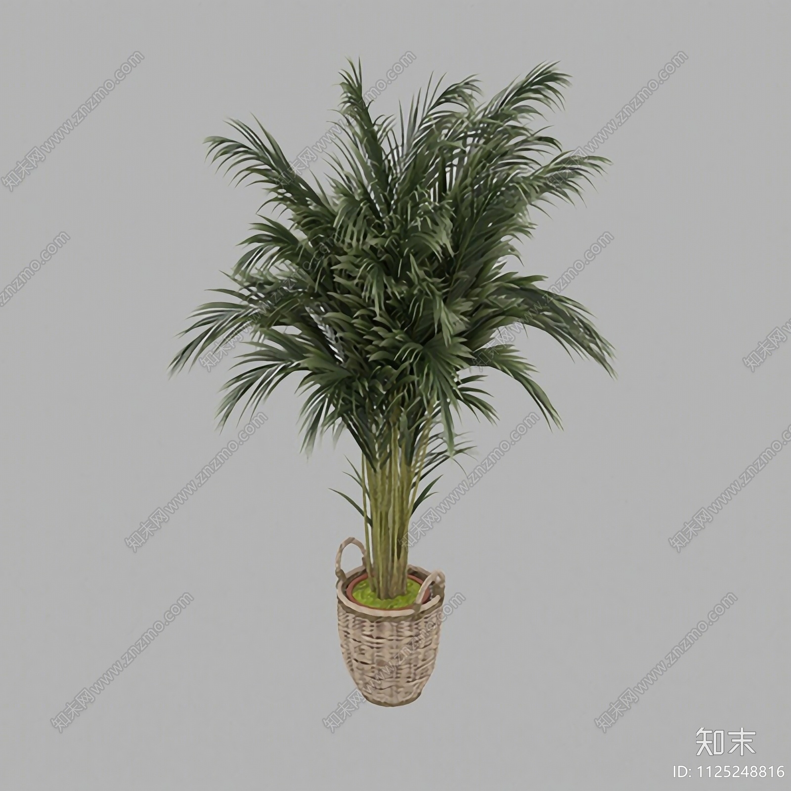 北欧简约绿植盆栽3D模型下载【ID:1125248816】