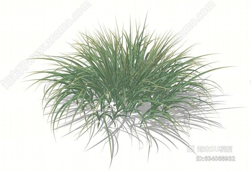 其他花草SU模型草图