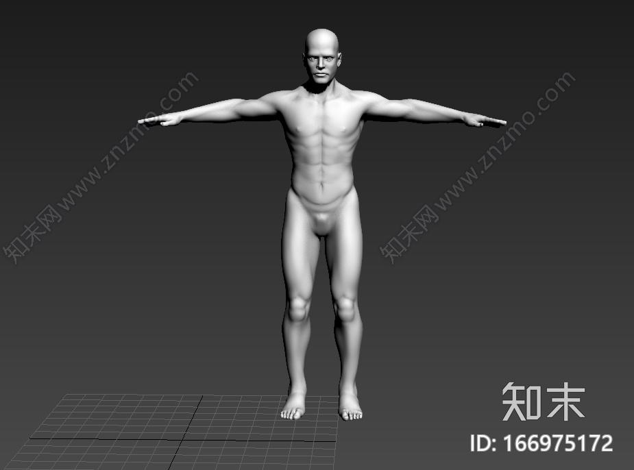 人体结构CG模型下载【ID:166975172】