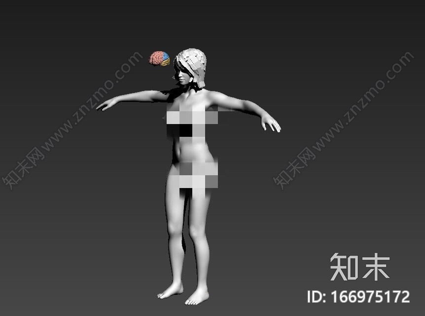 人体结构CG模型下载【ID:166975172】