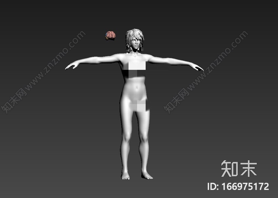 人体结构CG模型下载【ID:166975172】