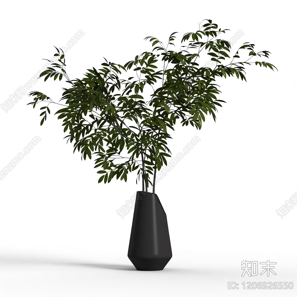 盆栽植物装饰3D模型下载【ID:1206926550】