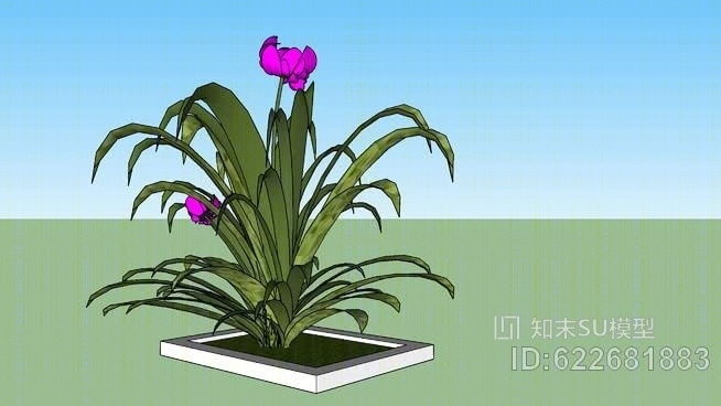 Flowers，花园，风景SU模型下载【ID:622681883】