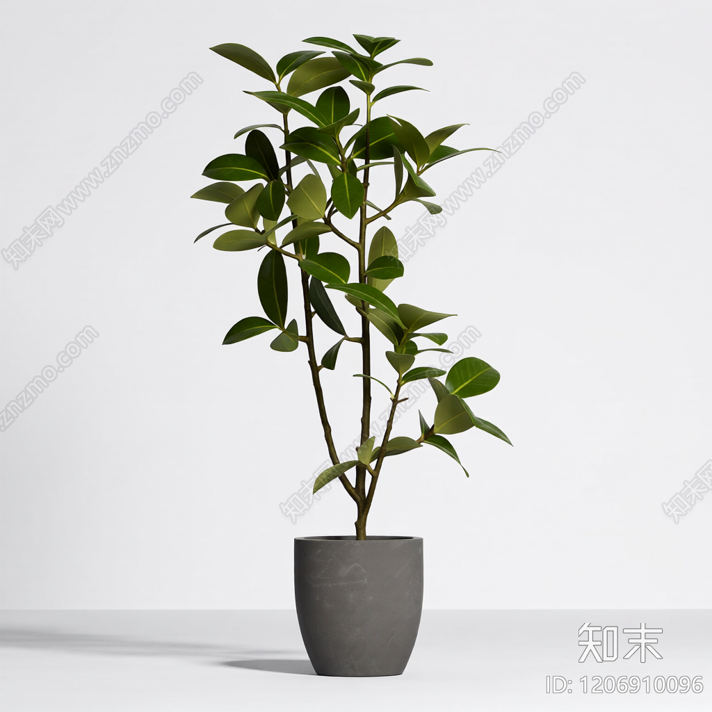盆栽植物装饰3D模型下载【ID:1206910096】