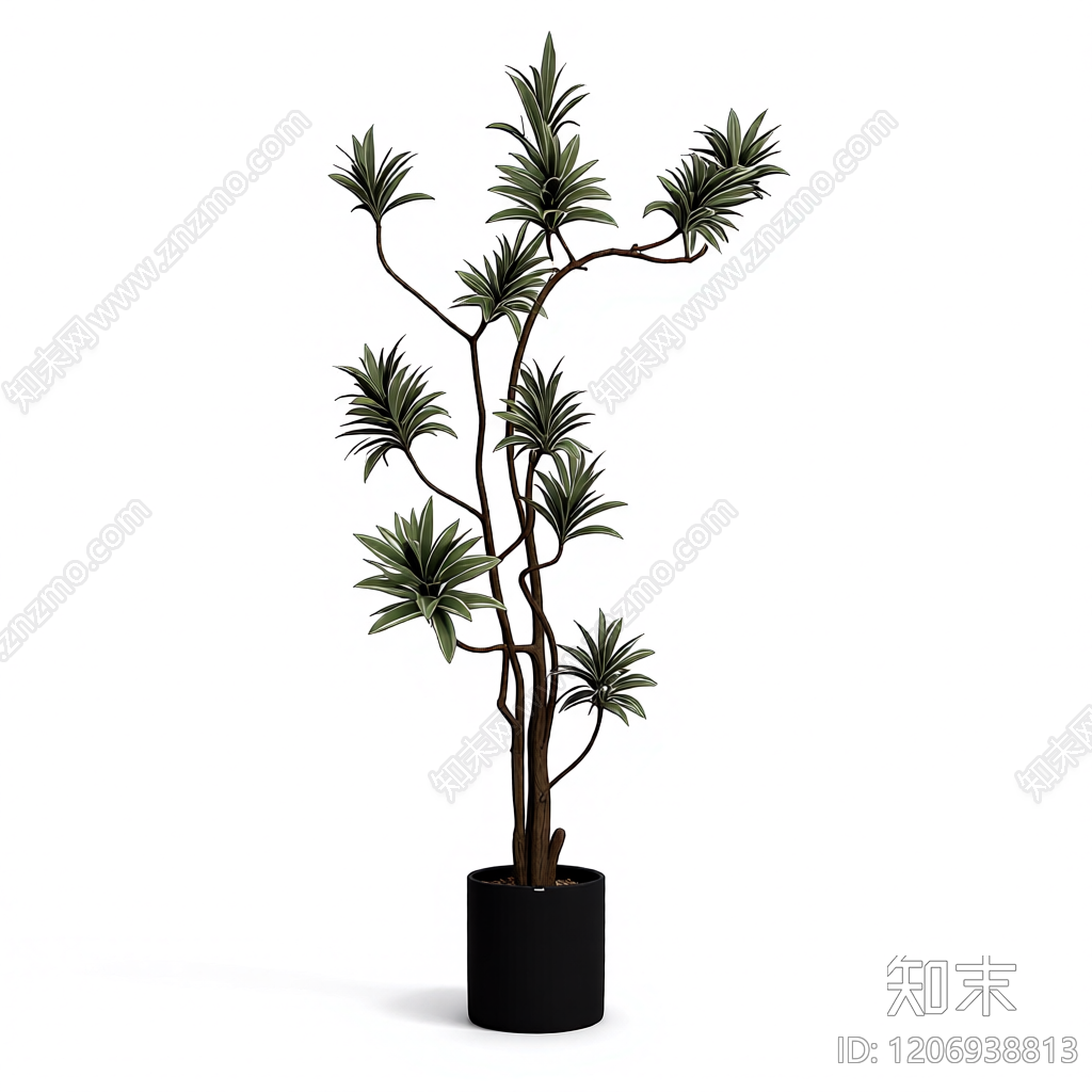 盆栽植物装饰3D模型下载【ID:1206938813】
