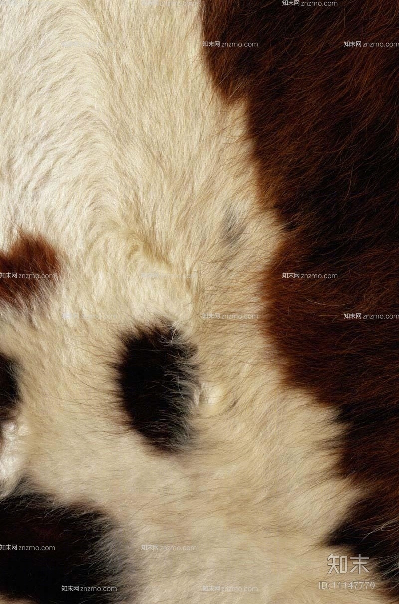 动物毛皮地毯20贴图下载