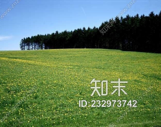 外景-外景贴图下载【ID:232973742】