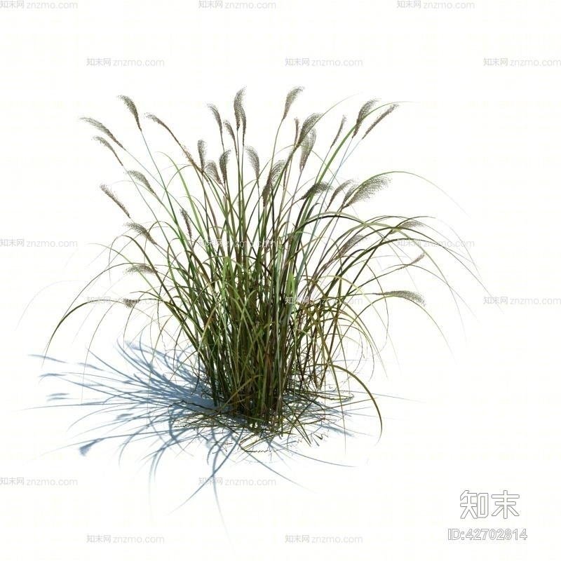 绿色草3D模型下载【ID:42702814】