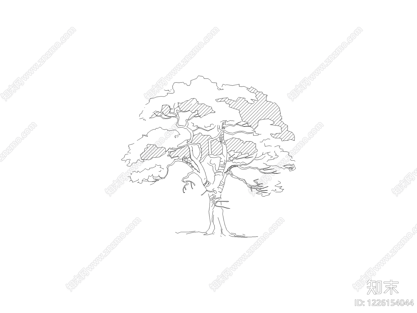 现代,新中式乔木种植CAD图纸