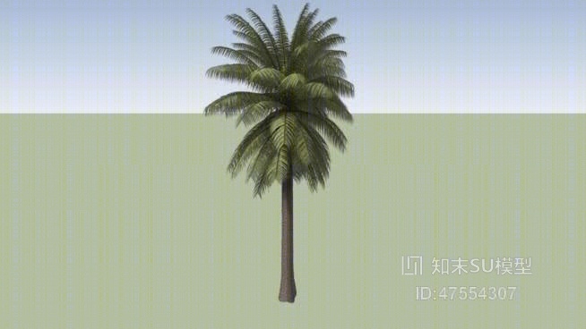 树SU模型下载【ID:119251699】