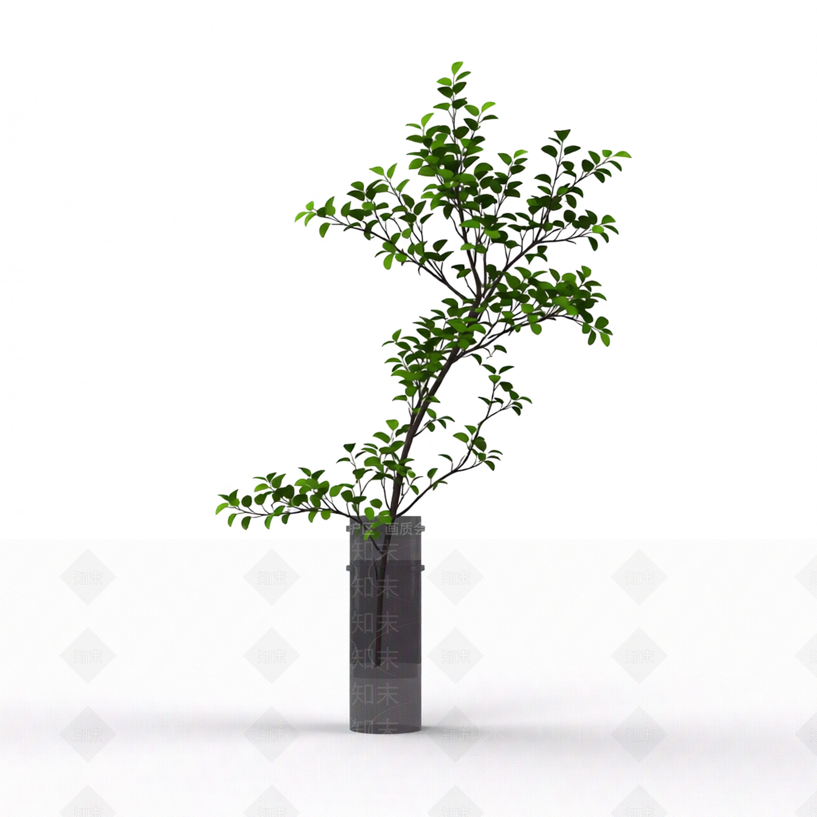 带盆枝叶盆栽3D模型下载【ID:1206204156】