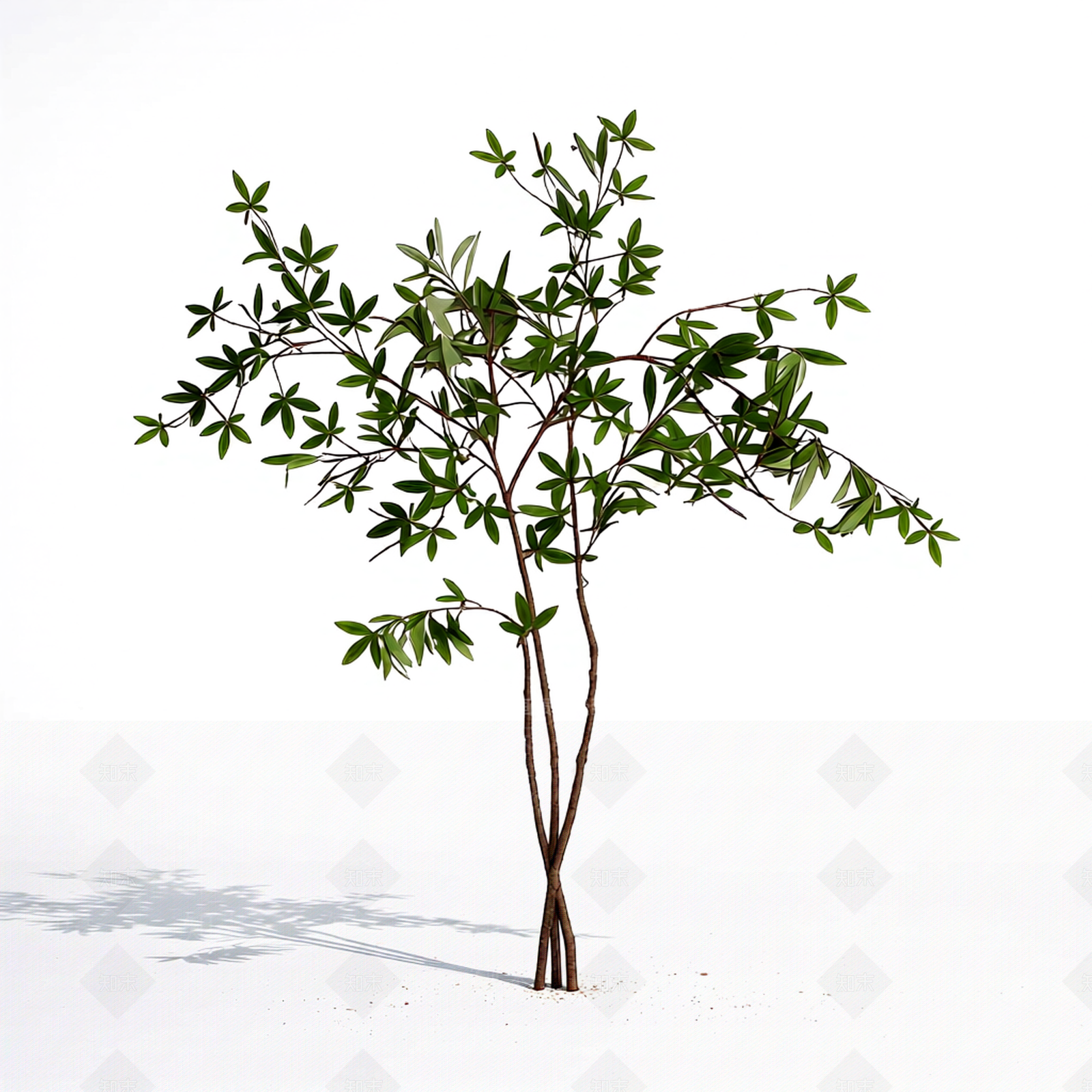 小型仿真植物枝条3D模型下载【ID:1206181534】