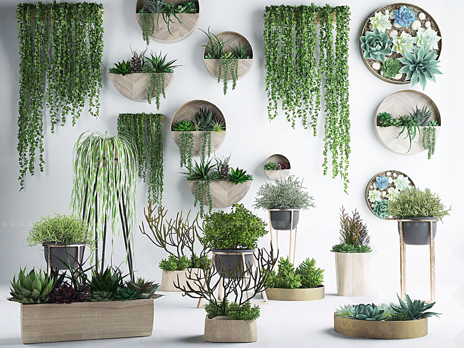 日式植物盆栽绿植花卉花草多肉3d模型 Id 知末3d模型网