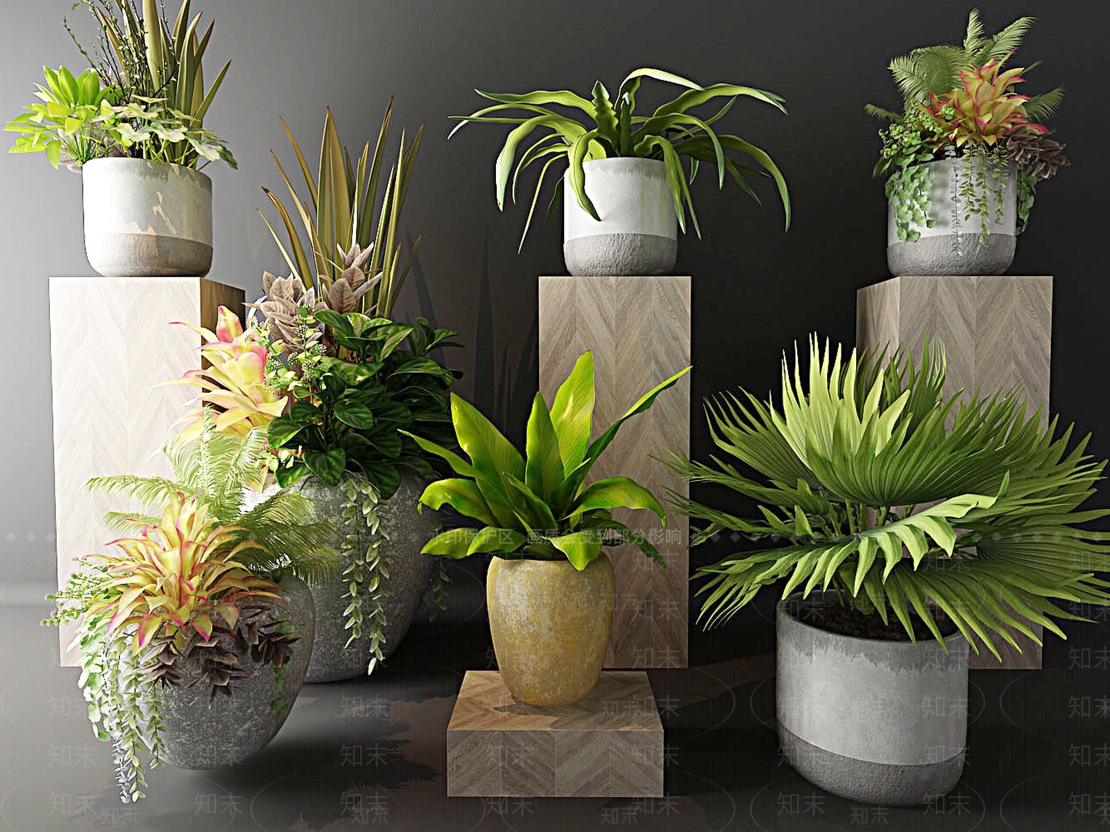 北欧花卉植物盆栽绿植花草3D模型下载【ID:335720820】