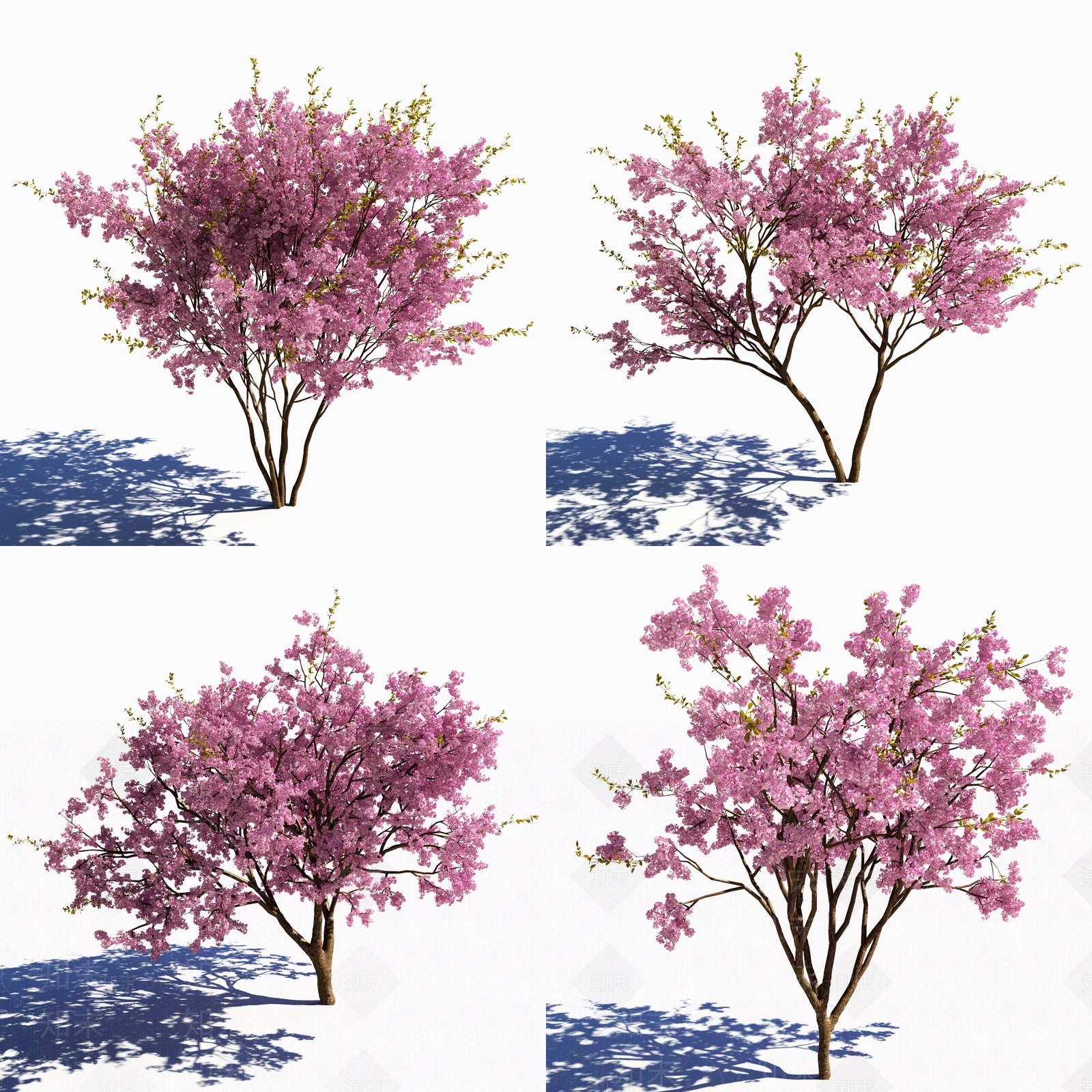 现代花草景观树组合3D模型下载【ID:335735994】