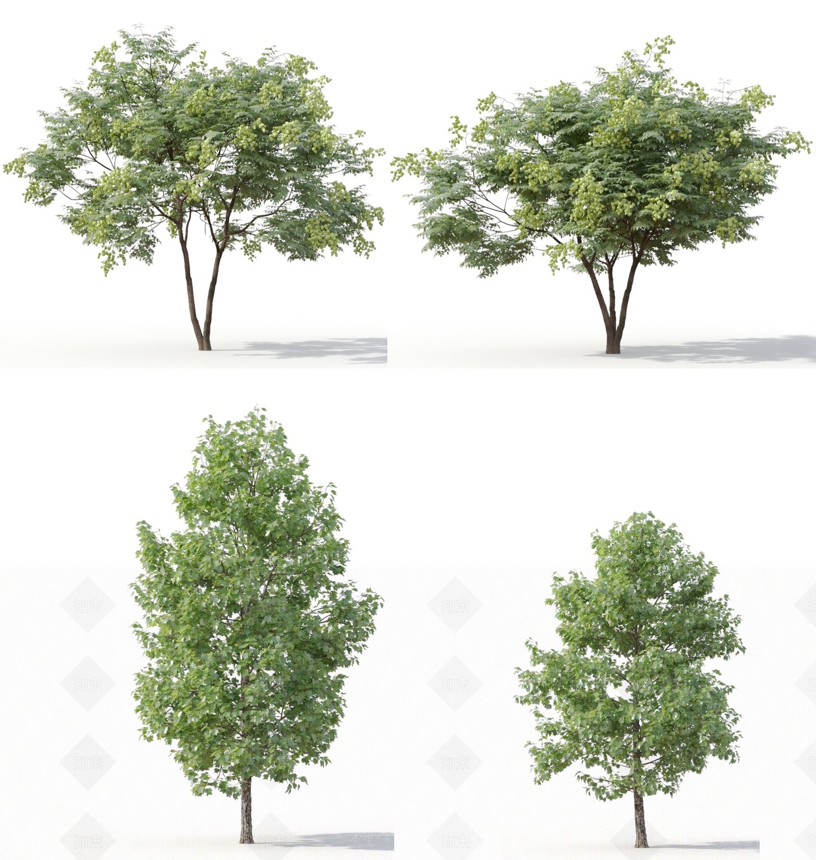 现代花草景观树组合3D模型下载【ID:335736931】