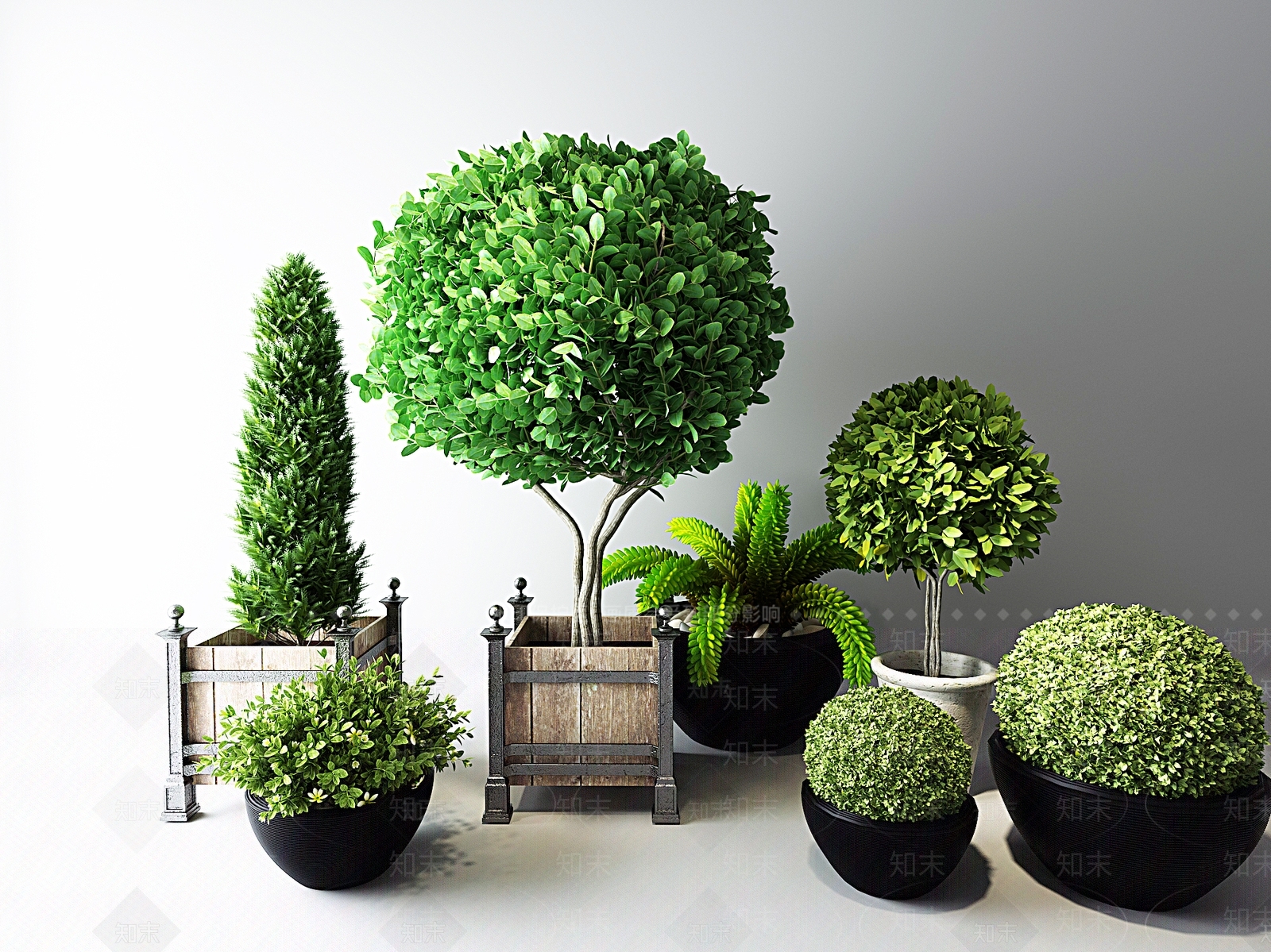 户外植物盆栽绿植花草松树3D模型下载【ID:335797801】