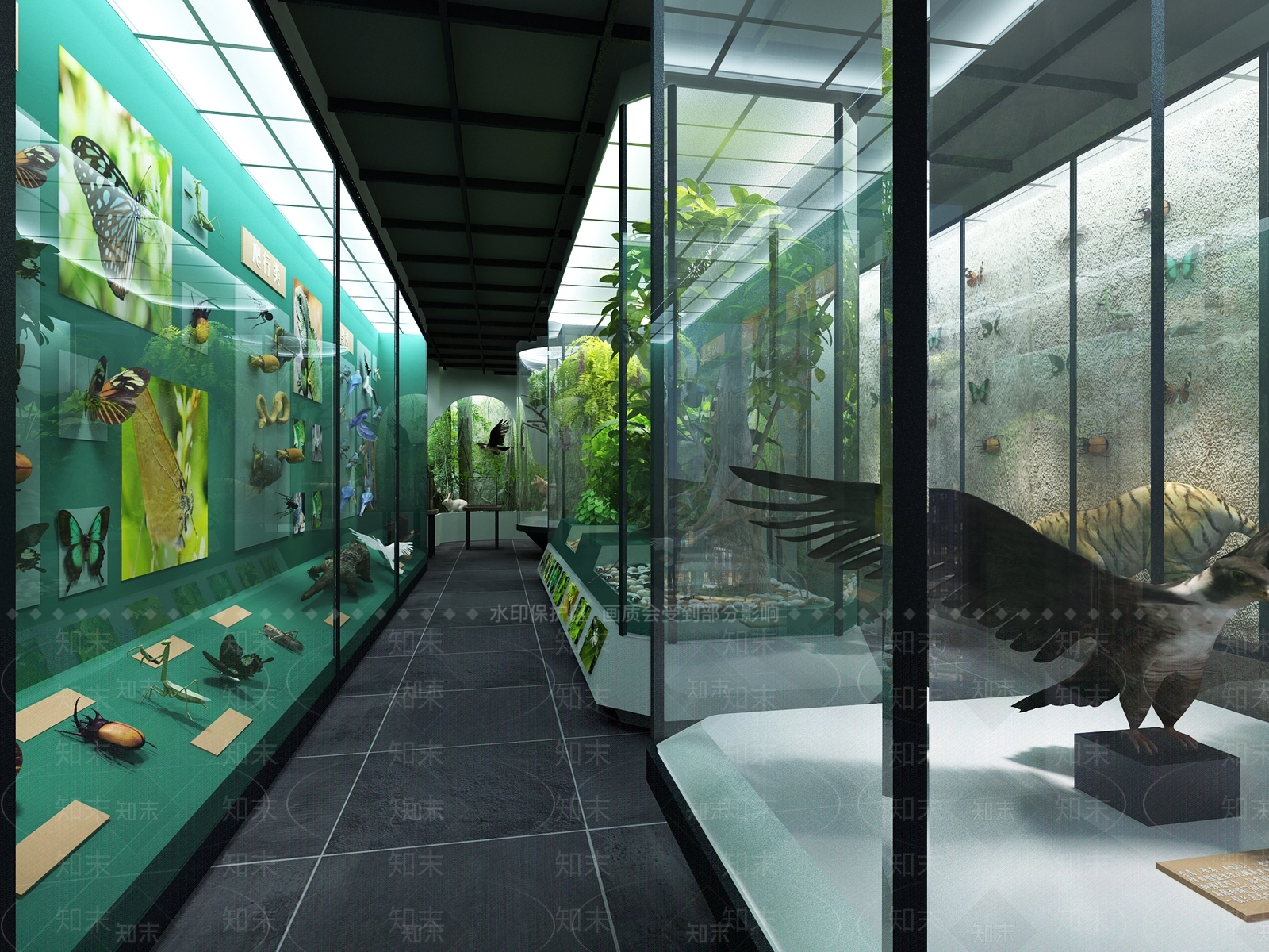 东南亚动物植物展厅3D模型下载【ID:536006178】