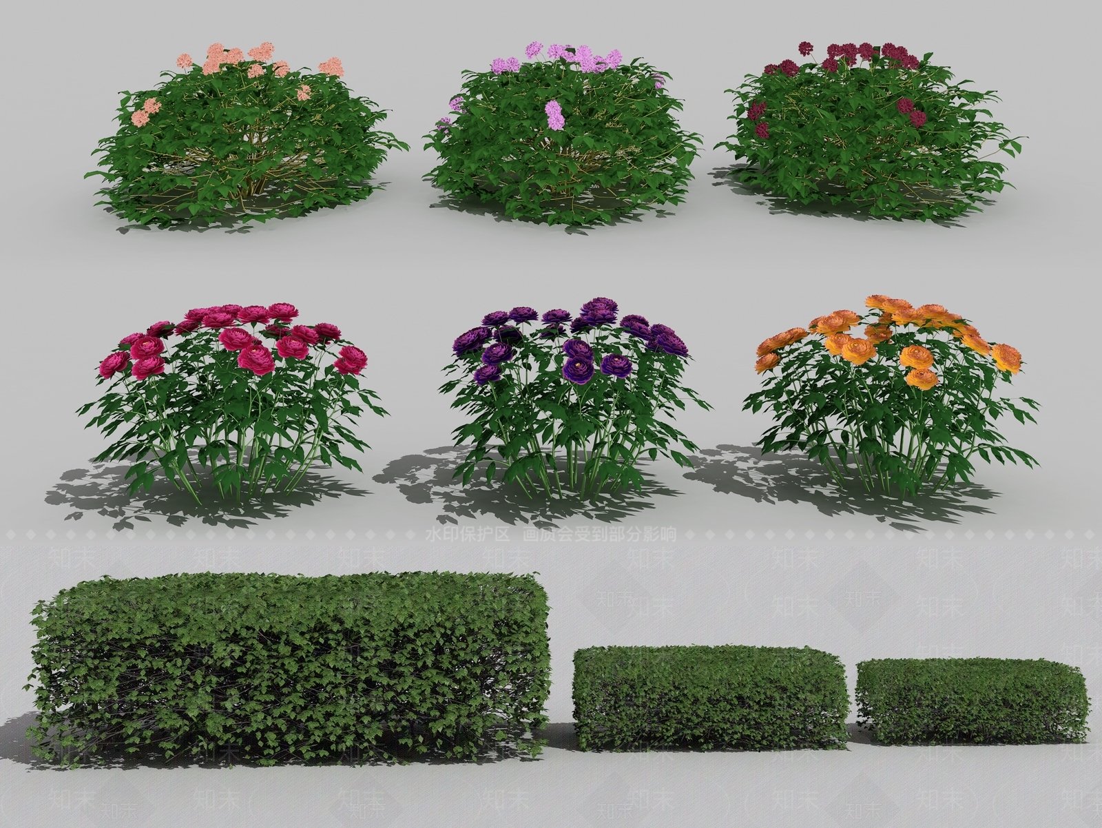 现代绿篱灌木花草植物3D模型下载【ID:236059652】