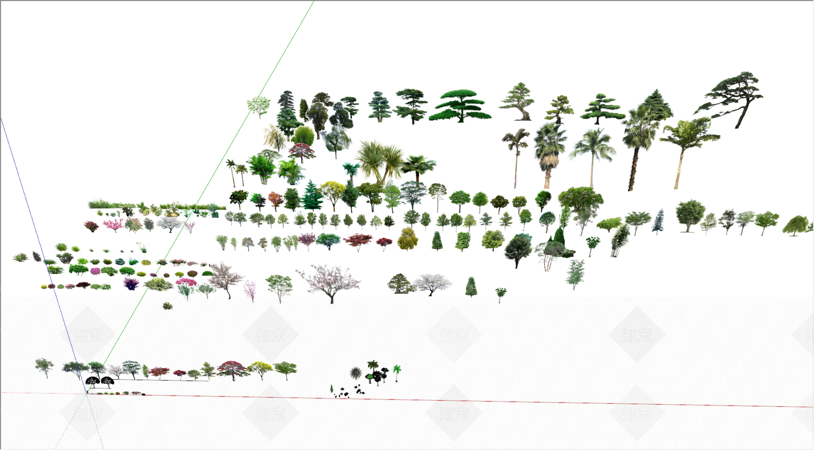 其他植物组合SU模型草图