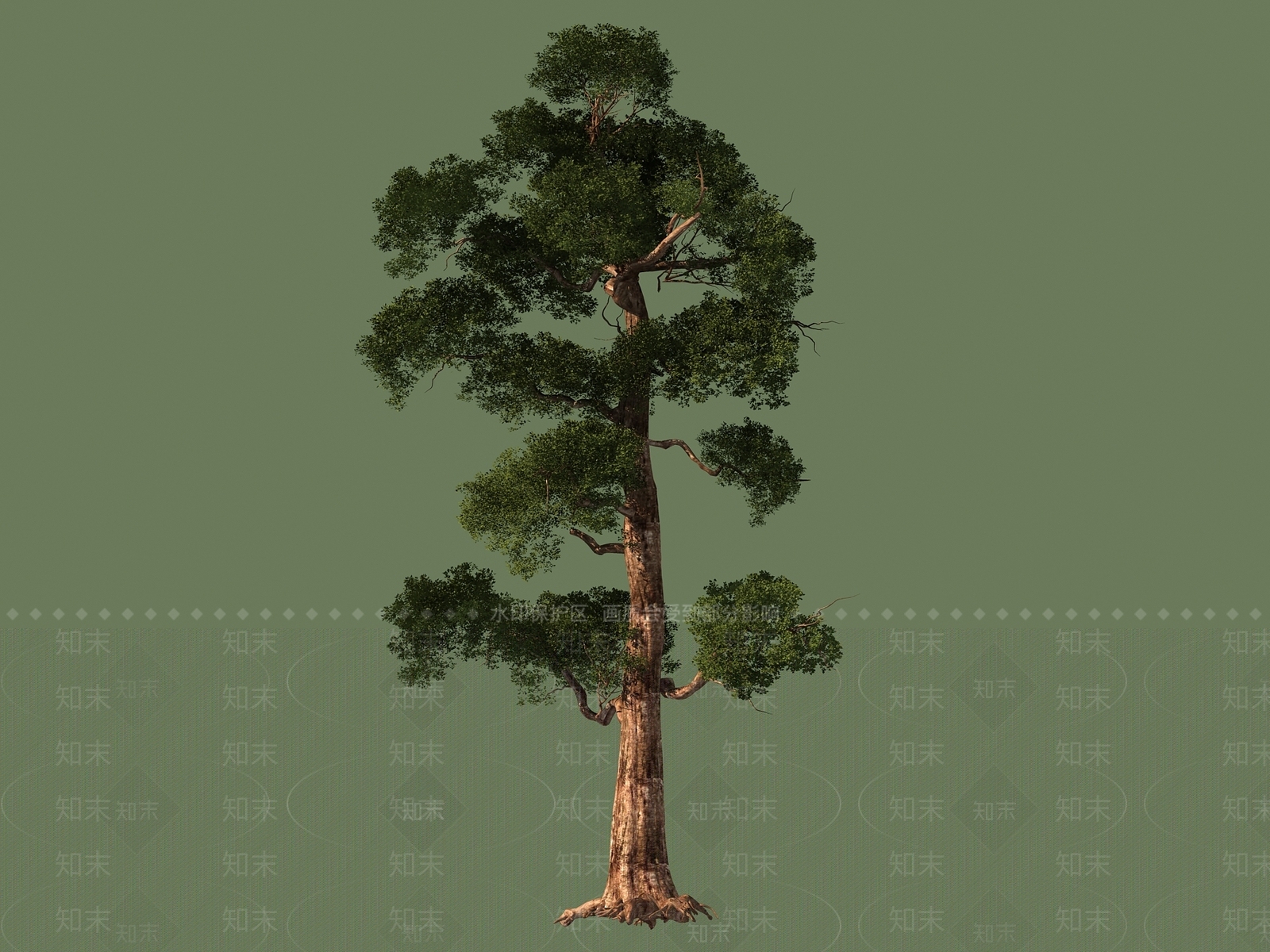 其它松树树植物景观3D模型下载【ID:337269648】