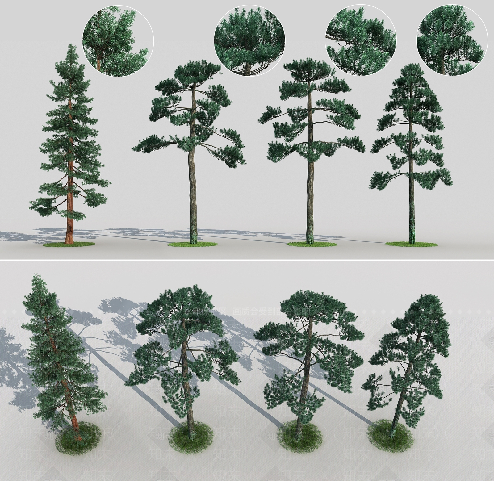 现代云杉3D模型下载【ID:340660656】