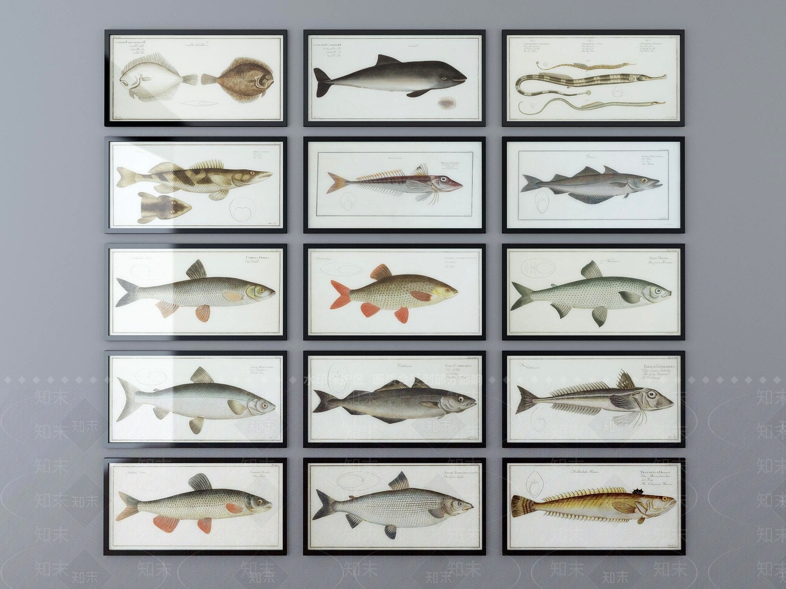 简欧现代动物鱼挂画墙饰3D模型下载【ID:840678974】