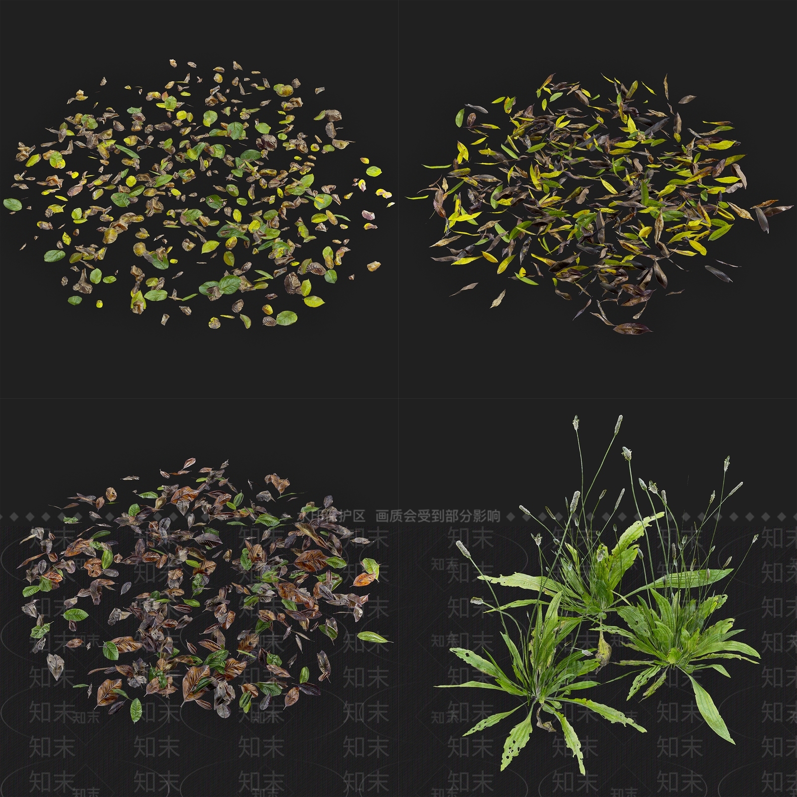 现代树叶花草植物组合3D模型下载【ID:440908179】