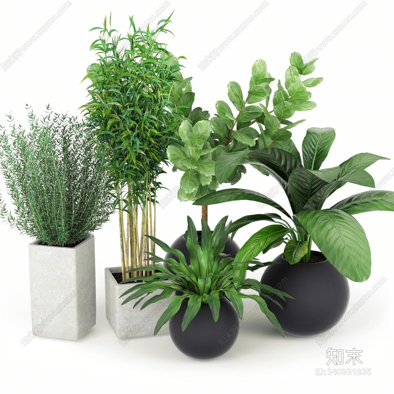 现代竹子盆栽植物组合3D模型下载【ID:340931835】