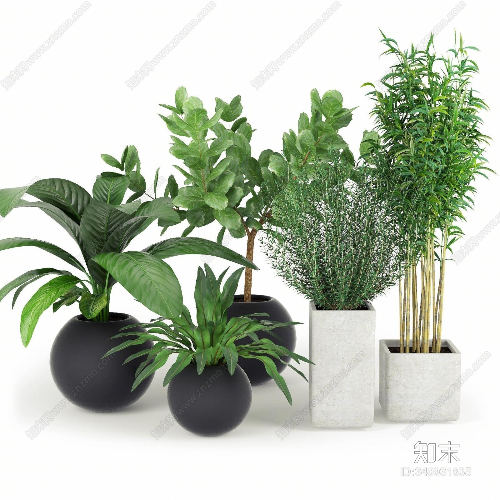 现代竹子盆栽植物组合3D模型下载【ID:340931835】