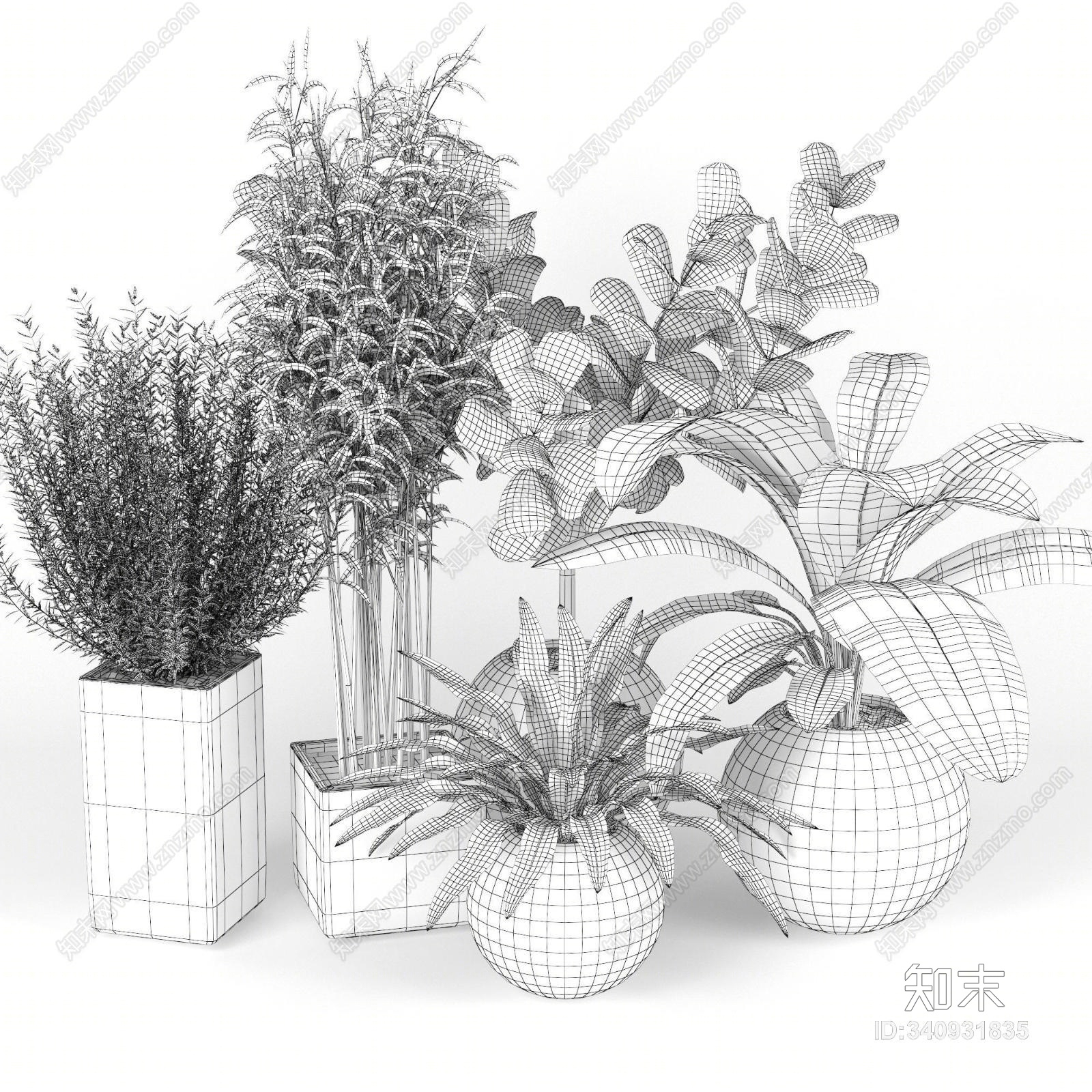 现代竹子盆栽植物组合3D模型下载【ID:340931835】