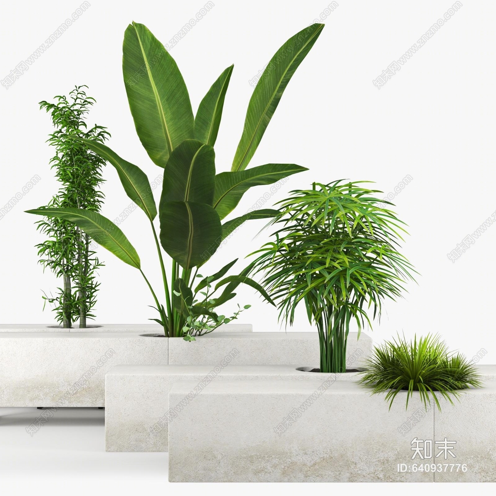 现代园艺观赏植物组合3D模型下载【ID:640937776】