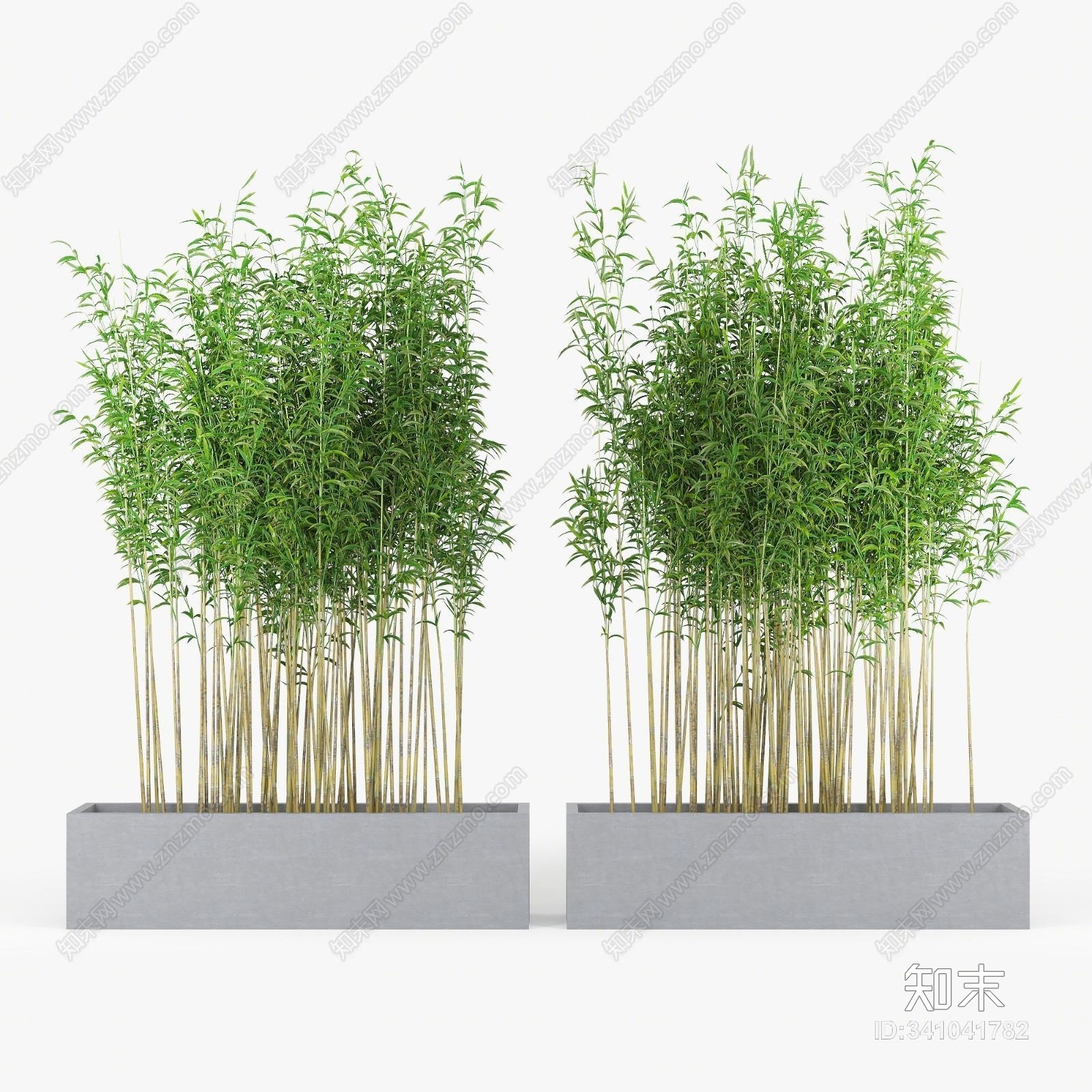 中式竹子绿植盆栽组合3D模型下载【ID:341041782】